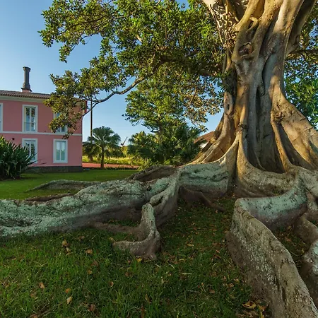 Solar Dos Cantos Botanic House & Garden Πόντα Ντελγκάντα