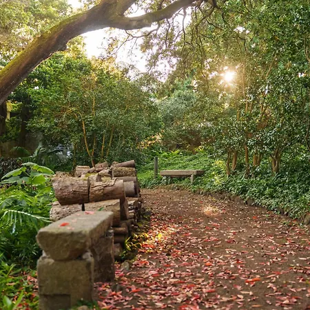 Solar Dos Cantos Botanic House & Garden 蓬塔德尔加达