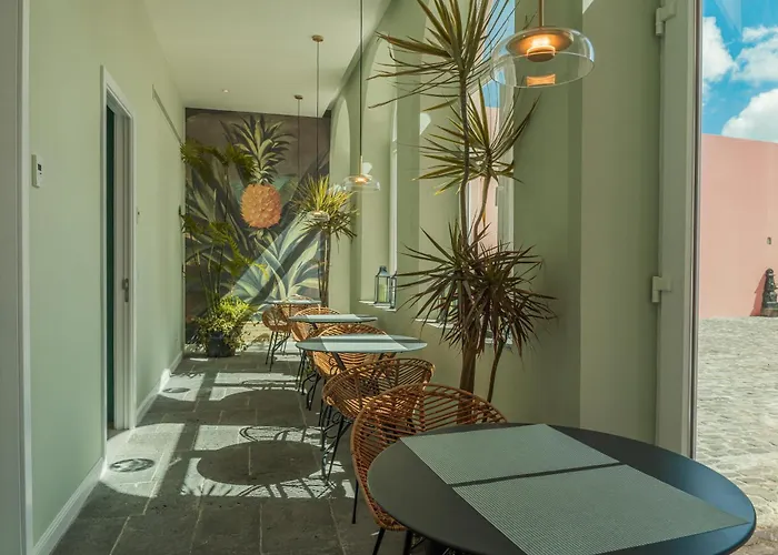 Solar Dos Cantos Botanic House & Garden 招待所 蓬塔德尔加达