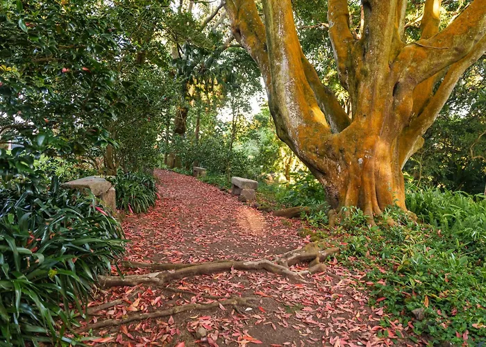 Solar Dos Cantos Botanic House & Garden 3*