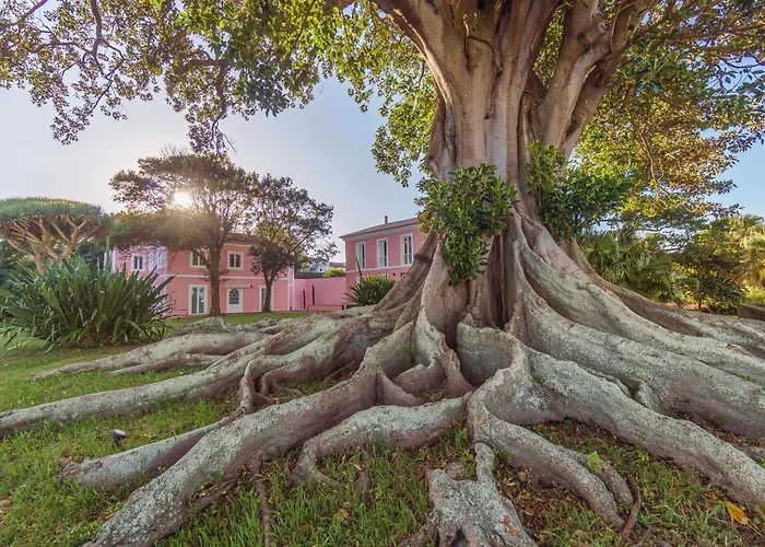 Solar Dos Cantos Botanic House & Garden 蓬塔德尔加达