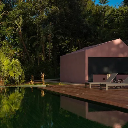 Gæstehus Solar Dos Cantos Botanic House & Garden Ponta Delgada