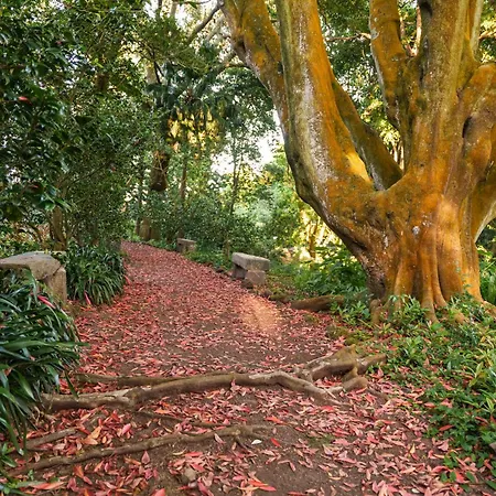 Solar Dos Cantos Botanic House & Garden 3*