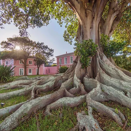 Solar Dos Cantos Botanic House & Garden Ponta Delgada (Sao Miguel)