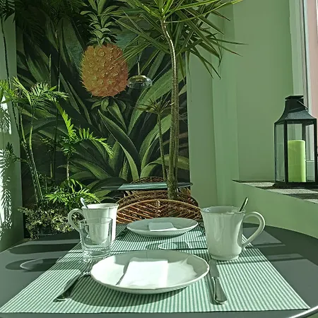 Solar Dos Cantos Botanic House & Garden Gasthof