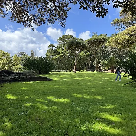 Pensionat Solar Dos Cantos Botanic House & Garden