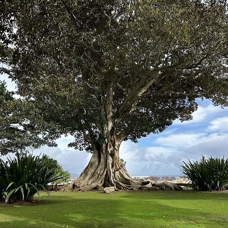 Gasthof Solar Dos Cantos Botanic House & Garden Ponta Delgada