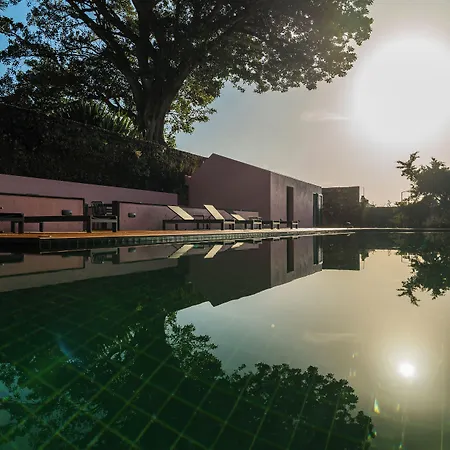 Solar Dos Cantos Botanic House & Garden Pensionat Ponta Delgada