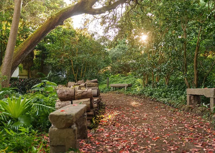 Solar Dos Cantos Botanic House & Garden Ponta Delgada