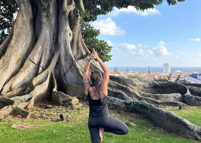 Solar Dos Cantos Botanic House & Garden Guest house 3*