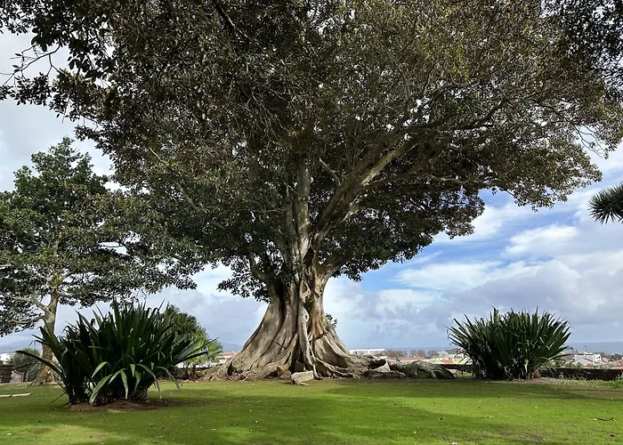 Guest house Solar Dos Cantos Botanic House & Garden Ponta Delgada (Sao Miguel)