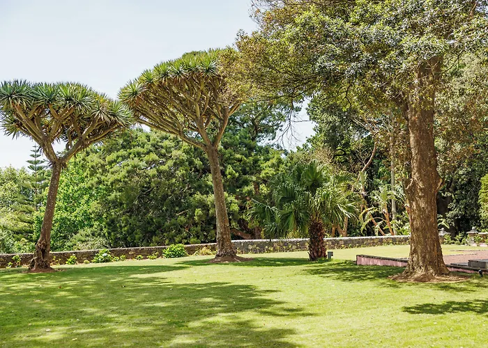 Solar Dos Cantos Botanic House & Garden Gasthuis Ponta Delgada
